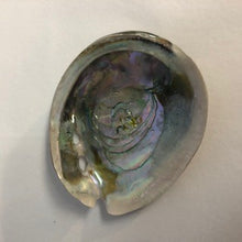 Load image into Gallery viewer, abalone shell interior small natural
