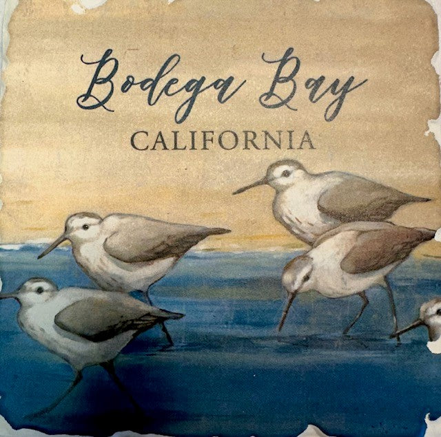 Bodega Bay California Coaster Sandpipers