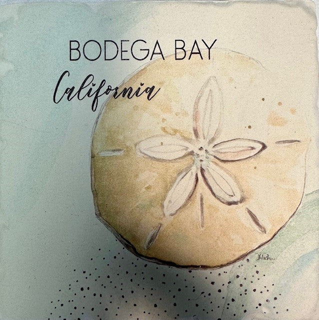 Bodega Bay California Coaster Sand Dollar