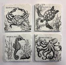 Load image into Gallery viewer, Bodega Bay California Coaster Sea Turtle Black and White

