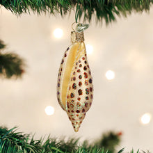 Load image into Gallery viewer, Bodega Bay Christmas Ornament Junonia Shell Old World Christmas
