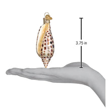 Load image into Gallery viewer, Bodega Bay Christmas Ornament Junonia Shell Old World Christmas
