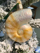 Load image into Gallery viewer, Bodega Bay Christmas Ornament Nautilus Shell Old World Christmas

