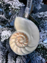 Load image into Gallery viewer, Bodega Bay Christmas Ornament Nautilus Shell Old World Christmas
